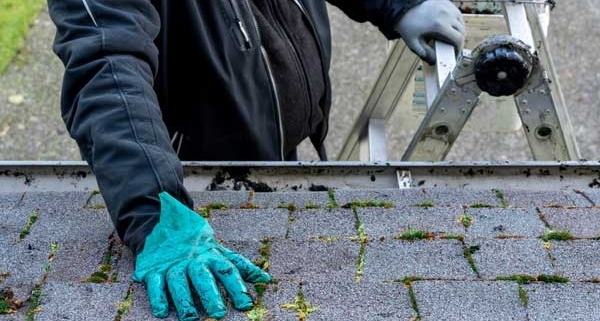 Roof maintenance